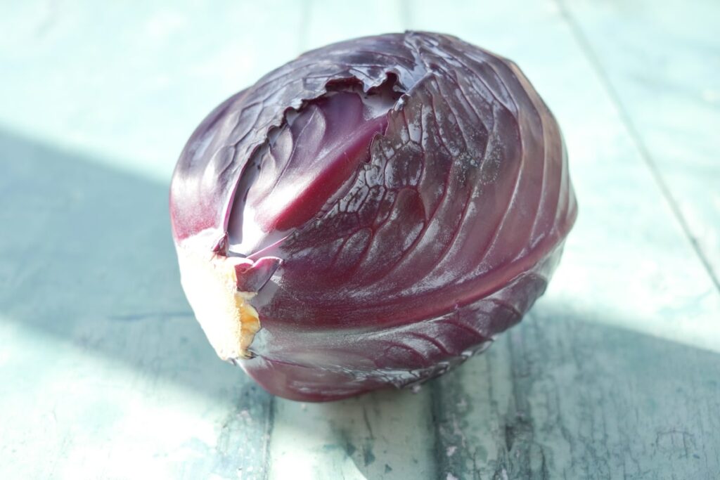 red cabbage